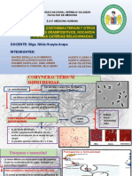 Diapositivas Grupo 4