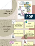 Science 9 PPT Respiratory System 2022