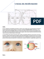 Anatomía Facial Del Recién Nacido