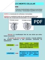 LesaoMorteCelular Aula3 Nova