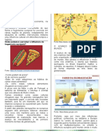 Apostila 9º Ano-Comp