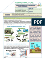 3 - Comprenden El Proceso de La Respiracion en Los Vertebrados.
