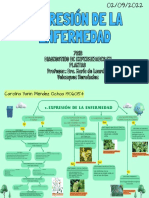 Mapa Conceptual de Expresión de La Enfermedad