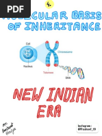 Molecular Basis of Inheritance