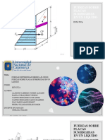 Fuerzas Sobre Placas Sumergidas en Un Líquido