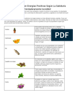 50PLANTAS ATRAEN POSTIVdocx