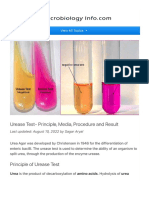 Urease Test - Principle, Media, Procedure and Result