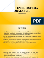 1 . - Bienes en El Sistema Oral Civil