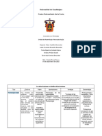 Localizacionismo Vs Antilocalizacionismo