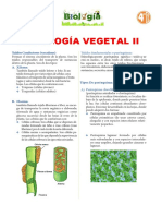 4°sec-Histologia Vegetal Ii