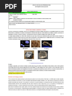 Evidencia 7 - Actividad 1. Estructura Atómica