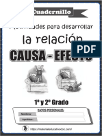 Cuaderno Practica Causa Efecto