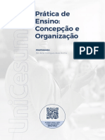 Prática de Ensino Organização e Concepção