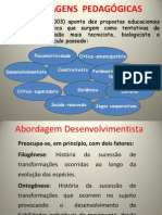 Abordagem Desenvolvimentista A