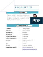 Curriculum Vitae 2021 Erick Alonso2 WD