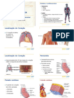 Aula Sistema Cardiovascular A