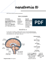 Unidad 5 LCR y Vías de Conducción Sensitivas (Ascendentes) : Vellosidad Aracnoidea Espacio Subaracnoideo