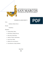 Similitud y Modelos Fisicos - Informe Lab 1