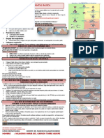 Reanimacion Neonatal Basica Tarea