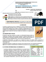 Guia #4 Magnitudes Fundamentales 8°