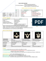 Back Spine Anatomy