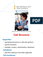 1 Chapter 3 Lecture 1