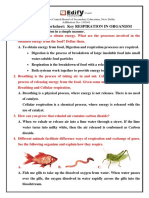 Grade: VII Worksheet: Key Respiration in Organism