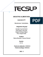 Informe N°1-Industrias Alimentarias