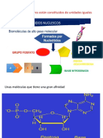 Acidos Nucleicos