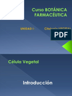 Citología Vegetal