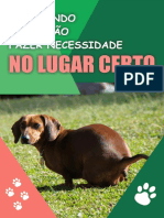 Ensinando o Seu Cão Fazer Necessidade No Lugar Certo