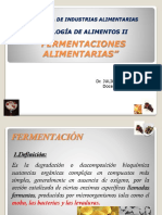 Fermentaciones-Alimentarias