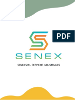 Senex SRL Servicios 2022