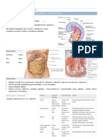 Doença Inflamatória Intestinal