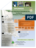 Afiche Diplom. Buenas Practicas