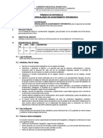 TDR Levantamiento Topografico