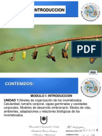 Niveles de Organización 2022