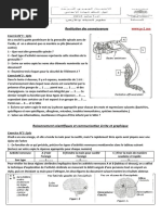 Fes Meknes Examen Regional SVT 2014 Sujet