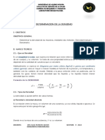 Determinacion Densidad de Liquidos