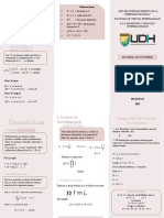 Triptico M.B Ii