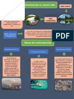 Infografía 1