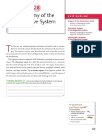 OHAP 11 Lab Worksheet Digestive System