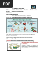 Niveles de Organizacion de La Materia 1º Secundaria