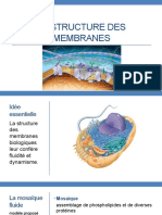 1-La Structure Des Membranes