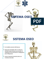 Sistema Oseo y Muscular Actual