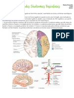 Síndromes Vasculares