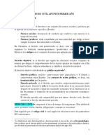 Derecho Civil Apuntes Primer Año Terminado