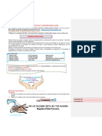 Etica y Paz 7