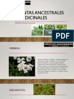 PLANTAS ANCESTRALES Y MEDICINALES Segundo Semestre Clase # 1