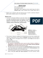 Digestive System Part 1